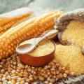 How high-quality seeds can improve crop yield